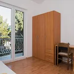 Apartament In Ibenik By The Brodarica (Sibenik-Knin)