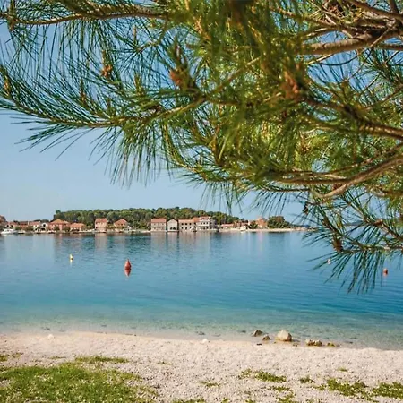 In Ibenik By The Apartament